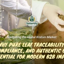Navigating the Global Kratom Market: Why Pure Leaf Traceability, Lab Compliance, and Authentic Origin Are Essential for Modern B2B Importers